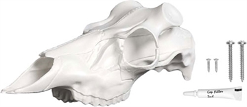 Picture of MOUNTAIN MIKE'S MIKE'S DEER SKULL KIT SKULL MASTER LARGE MMRSML