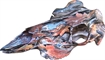 Picture of MOUNTAIN MIKE'S FALL CAMO DEER SKULL MASTER KIT W/POSITIONER MMRFC