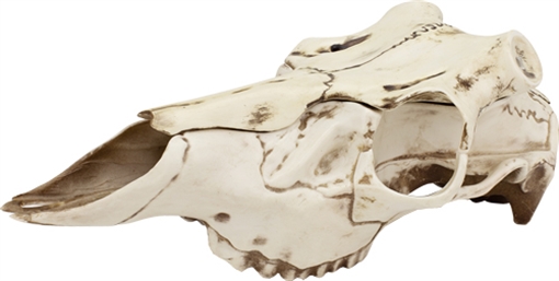 Picture of MOUNTAIN MIKE'S NATURAL CAUSES SKULL MASTER LARGE MMRSMLNC