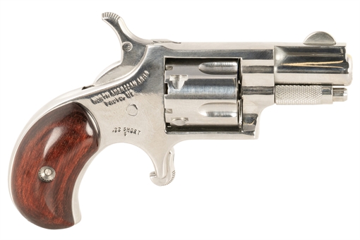 Picture of NAA SDLX 22S HIGH POLISH 1-1/8 BARREL
