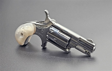 Picture of NORTH AMERICAN ARMS THE GOOD HIGH POLISHED 22LR 5 SHOT 1 1/8 IN BARREL NAA-22LR-GOOD