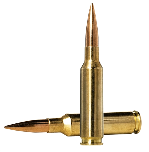 Picture of Norma Ammunition Dedicated Precision Golden Target Match 6.5Creedmoor 130gr Boat Tail Hollow Point 20 Per Box/10 Case 10166312