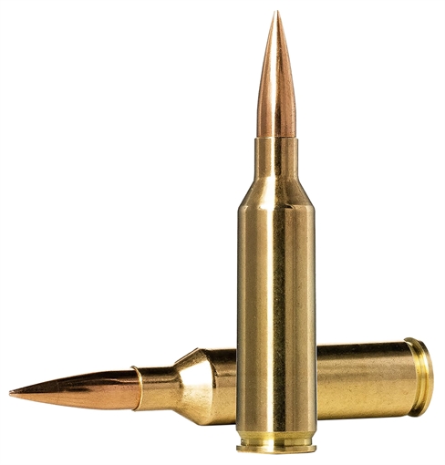 Picture of Norma Ammunition Dedicated Precision Golden Target Match 6.5PRC 143gr Hollow Point Boat Tail 20 Per Box/10 Case 10166462