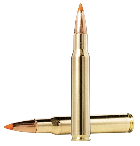 Picture of Norma Ammunition Dedicated Hunting Tipstrike 30-06Springfield 170gr Polymer Tip 20 Per Box/10 Case 20174342