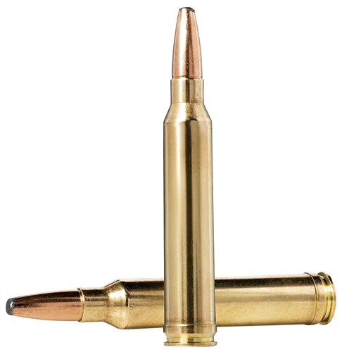 Picture of Norma Ammunition Oryx 30-06Springfield 180gr 20 Per Box/10 Case 20174742