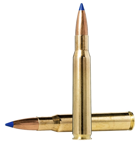Picture of Norma Ammunition Dedicated Hunting Bondstrike 300RUM 180gr Bonded Polymer Tip 20 Per Box/10 Case 20176102