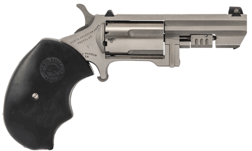 Picture of NORTH AMERICAN ARMS RECLUSE 22MAG 2 SS SWING OUT REVOLVER XS 742253004025