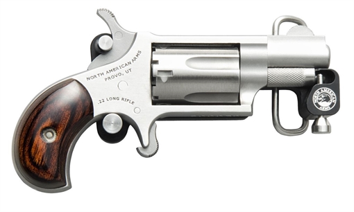 Picture of North American Arms Skeleton Belt Buckle and 22 LR Revolver Combo NAA-22LR-BBS