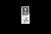 Picture of Otis Technology Ambi Safety Selector DFG-AMBI-SS