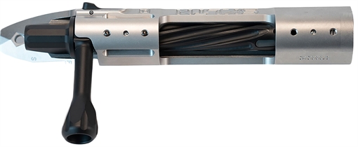Picture of P2 IN-00281 SKLTN SA LH STANDARD SS IN00281