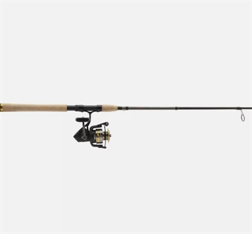 Picture of PENN FISHING TACKLE BATTLE IV 1000 1P 6'6" LIGHT SPIN COMBO 1621747