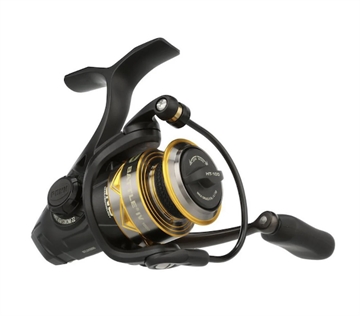 Picture of PENN FISHING TACKLE IV 2000 SPINNING REEL 6.2:1 1621727
