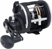 Picture of PENN FISHING TACKLE RIVAL 20LW 2BB 5.1 CAST RIV20LW