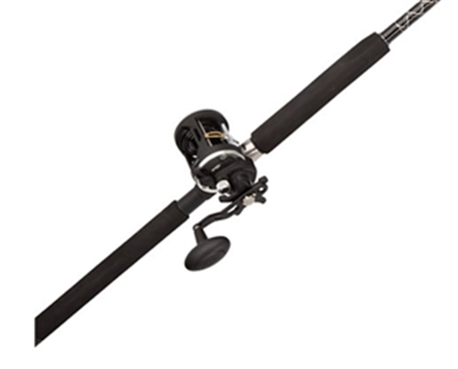 Picture of PENN FISHING TACKLE RIVAL 30LW 2BB 6'6" MH CAST CBO RVL30LW2050C66