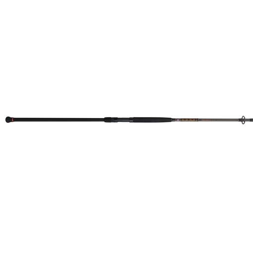 Picture of PENN FISHING TACKLE SQUADRON III SURF SPIN 11'-MH-2PC-MF 1522225