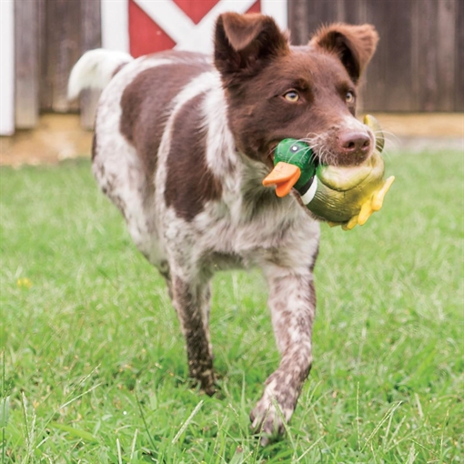 Picture of PetSafe Sportsmen Squeeze Meeze Duck PTY00-15863