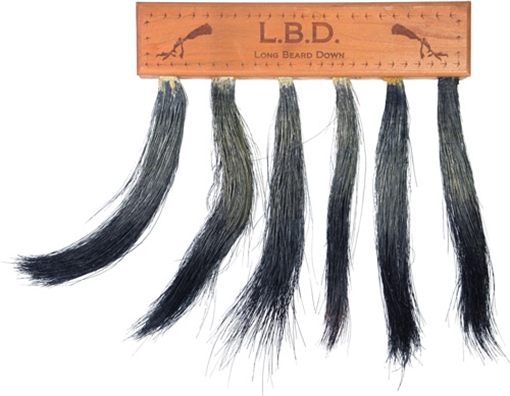 Picture of PITTMAN GAME CALLS LONG BEARD DOWN MULTI TURKEY BEARD MOUNT P701