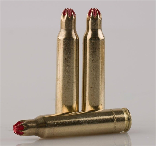 Picture of PPU Blank Rifle Ammunition .303 British Extended Blank 15/ct PPB303B