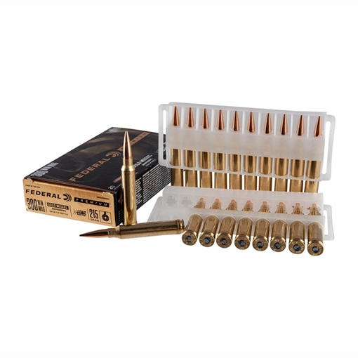 Picture of Federal 300 WINCHESTER MAGNUM 215GR HYBRID 20/BOX GM300WMBH1