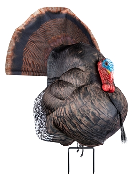 Picture of Primos Photoform Strutter Turkey Species Multi Color Foam 69072