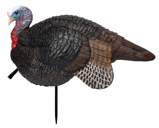 Picture of Primos Lil' Gobstopper Jake Turkey Species Multi Color 69074
