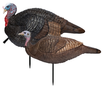 Picture of Primos Lil' Gobblestopper Jake & Hen Combo Turkey Species Multi Color 69075