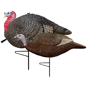 Picture of Primos Gobbstopper Combo Jake and Hen Decoy 69064