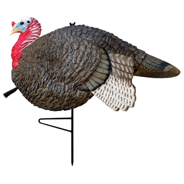 Picture of Primos Gobbstopper Jake Turkey Decoy 69066
