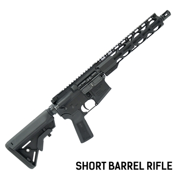 Picture of RADICAL SBR 300BLK 10.5" 30RD RF01868