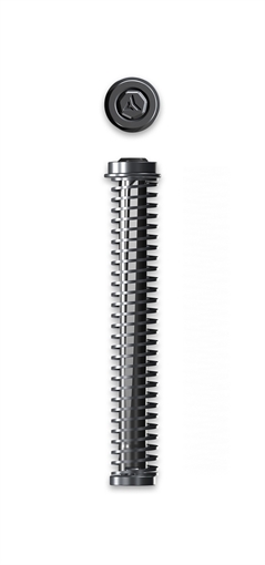 Picture of Radian Weapons COMPRESSOR GUIDE ROD P365XL BK FITS SIG P365XL & MACROR0914