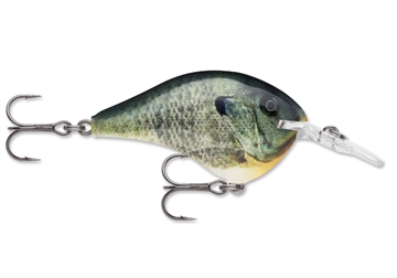 Picture of RAPALA DIVES-TO 08 LIVE BLUEGILL DT08BGL