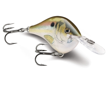 Picture of RAPALA DIVES-TO 08 LIVE RIVER SHAD DT08RSL