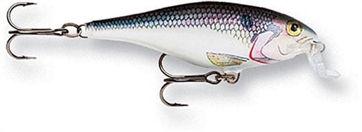 Picture of RAPALA SHALLOW SHAD RAP 05 SHAD SSR05SD