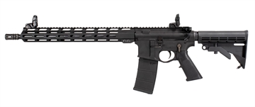 Picture of Raptor Defense RD15 300BLK 16" BLACK 30+1 RD10360
