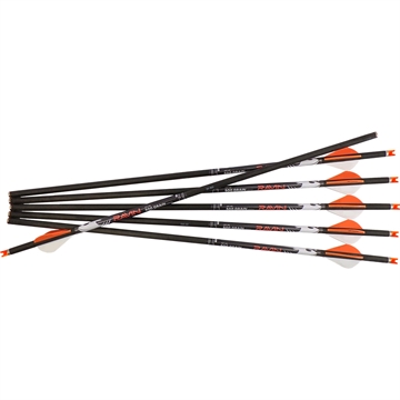 Picture of Ravin Premium Arrows (match weight) 500 grain HD .001 6PK R149