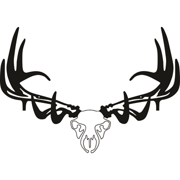Show details for Raxx Bow Hanger Elk Skull 855809007169 Picture of Raxx Bow Hanger Elk Skull 855809007169