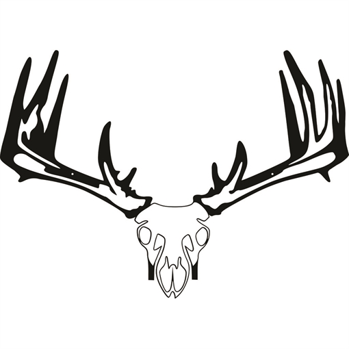 Picture of Raxx Crossbow Hanger Whitetail Skull 855809007152