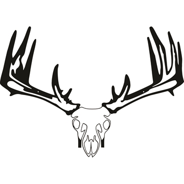 Show details for Raxx Crossbow Hanger Whitetail Skull 855809007152 Picture of Raxx Crossbow Hanger Whitetail Skull 855809007152