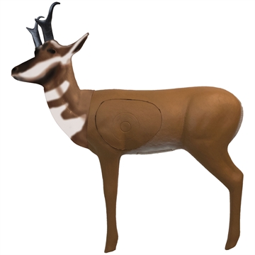 Picture of Real Wild Pronghorn Antelope Target 3D300A