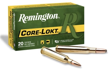 Picture of REMINGTON 6MMCM 100GR PSP-CORELOKT 20BX 29049
