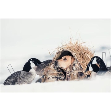 Picture of Rig 'Em Right Field Bully Dog Blind Optifade Marsh 023-M