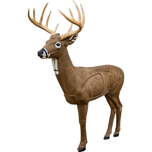 Picture of Rinehart Big Jim Target 20211