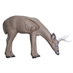 Picture of Rinehart Broadhead Buck Target 12411