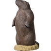 Picture of Rinehart Groundhog Target 51111