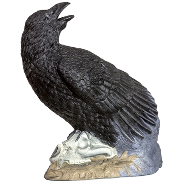 Picture of Rinehart Raven Target 41211