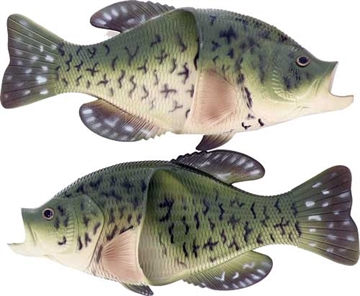 Picture of RIVER'S EDGE GIFTS EDGE CRAPPIE SANDALS ADULT LARGE SIZE 11/12 673AL