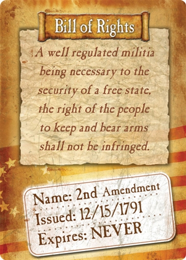 Picture of RIVER'S EDGE GIFTS SIGN 12"x17" "BILL OF RIGHTS" 1591