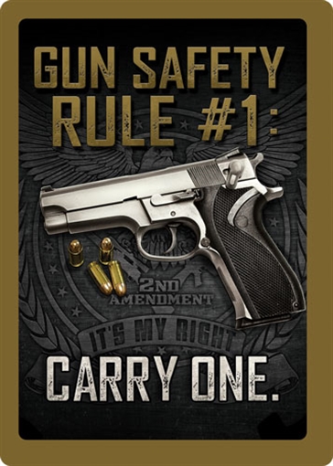 Picture of RIVER'S EDGE GIFTS SIGN 12"x17" "GUN SAFETY" 1461