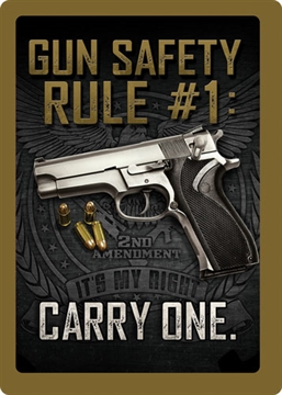 Picture of RIVER'S EDGE GIFTS SIGN 12"x17" "GUN SAFETY" 1461