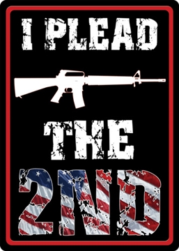 Picture of RIVER'S EDGE GIFTS SIGN 12"x17" "I PLEAD THE SECOND" 1598